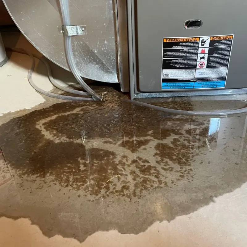 Pipe Burst and Leak Restoration in Elkview, WV