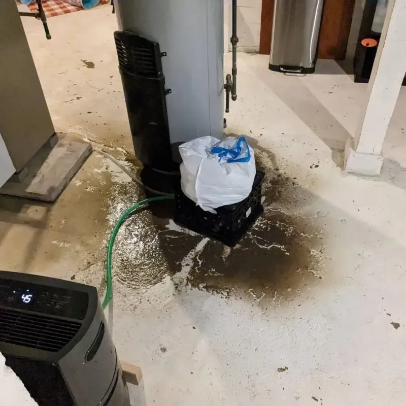 Sewage Backup Cleanup Service in Elkview, WV
